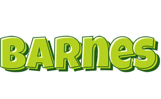 Barnes summer logo