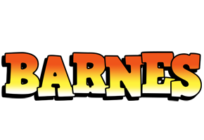 Barnes sunset logo