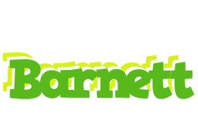 Barnett picnic logo