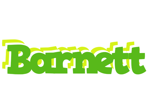 Barnett picnic logo