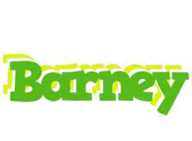 Barney picnic logo