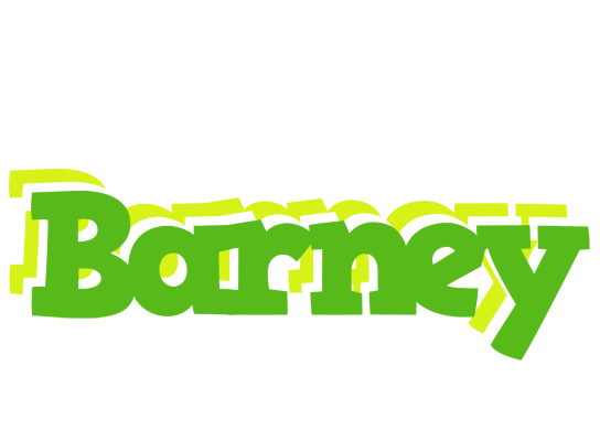 Barney picnic logo