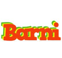 Barni bbq logo