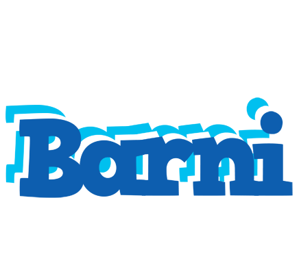 Barni business logo