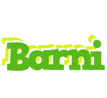 Barni picnic logo