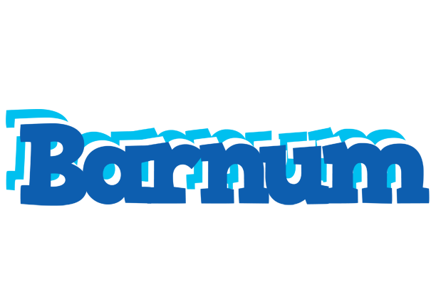 Barnum business logo