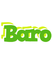 Baro picnic logo