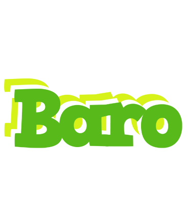 Baro picnic logo