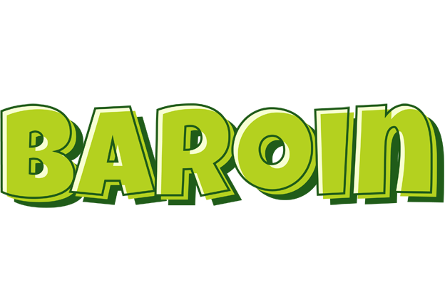 Baroin summer logo