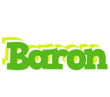 Baron picnic logo