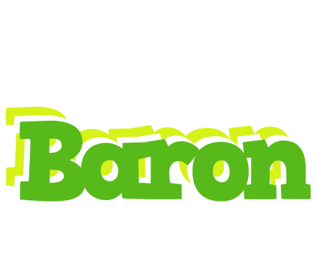 Baron picnic logo