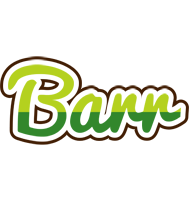 Barr golfing logo