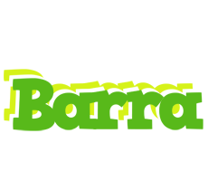 Barra picnic logo