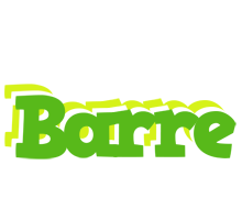 Barre picnic logo