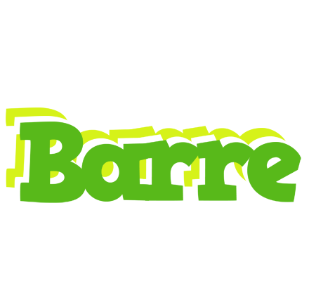 Barre picnic logo