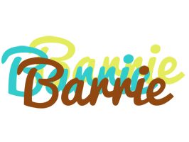 Barrie cupcake logo