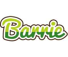 Barrie golfing logo