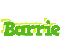 Barrie picnic logo