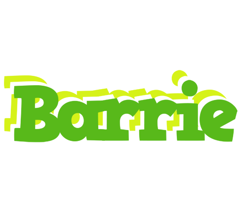 Barrie picnic logo