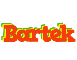 Bartek bbq logo