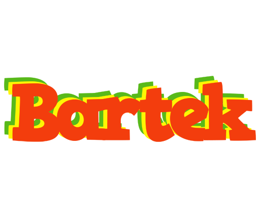 Bartek bbq logo