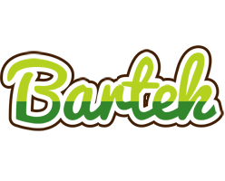 Bartek golfing logo