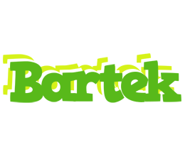 Bartek picnic logo