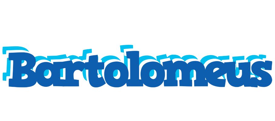Bartolomeus business logo