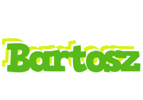 Bartosz picnic logo