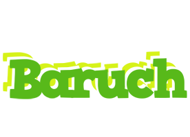 Baruch picnic logo