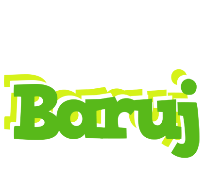 Baruj picnic logo