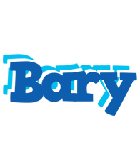 Bary business logo