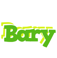 Bary picnic logo