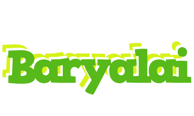 Baryalai picnic logo