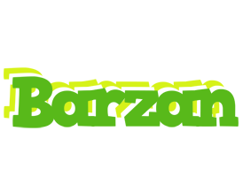 Barzan picnic logo