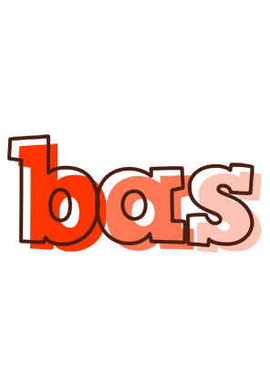 Bas paint logo