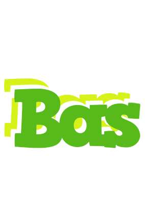 Bas picnic logo