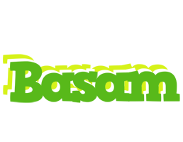 Basam picnic logo