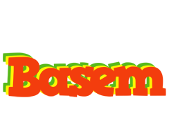 Basem bbq logo
