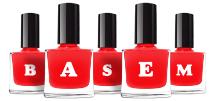 Basem fashion logo