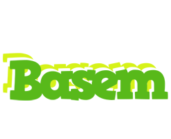 Basem picnic logo