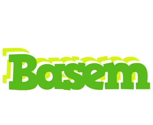 Basem picnic logo
