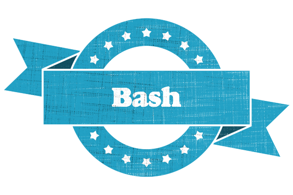 Bash balance logo