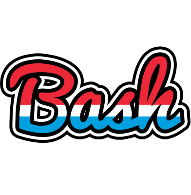 Bash norway logo