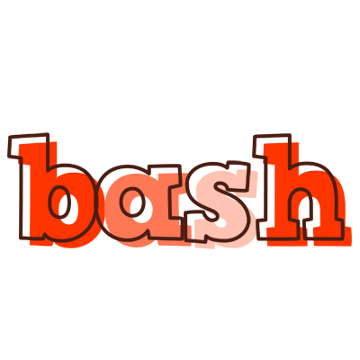 Bash paint logo