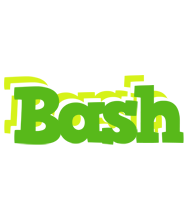 Bash picnic logo