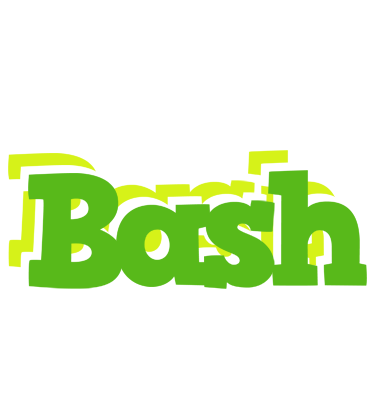 Bash picnic logo