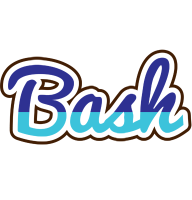 Bash raining logo