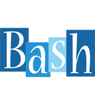 Bash winter logo