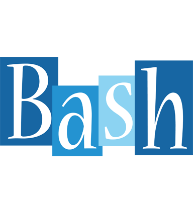 Bash winter logo